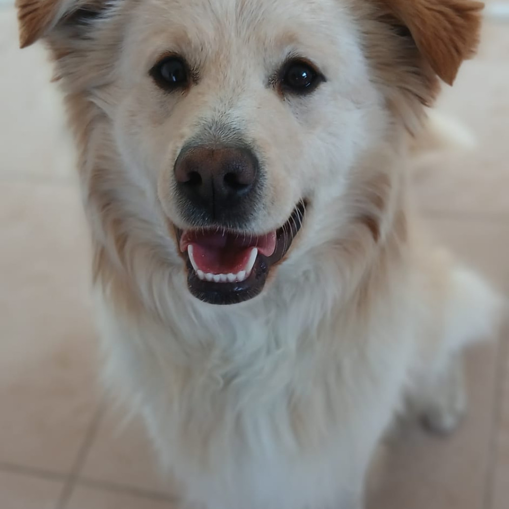 Beny