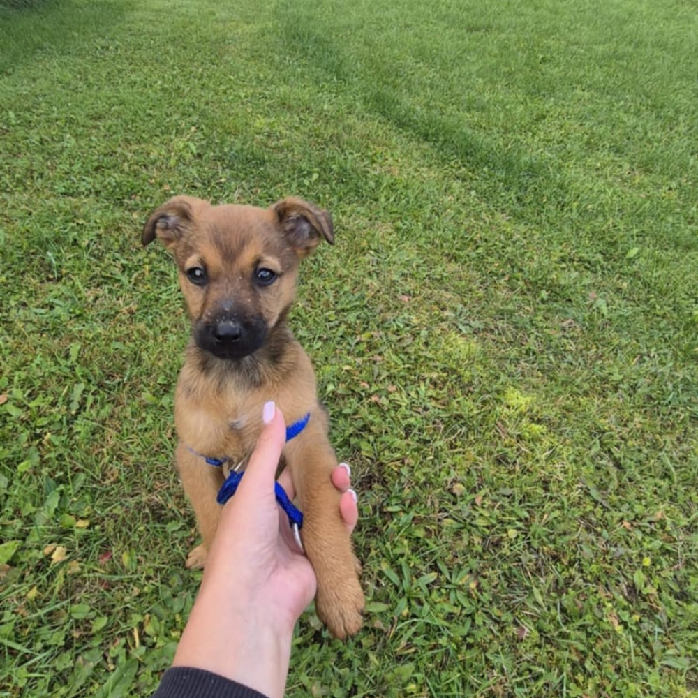 Zoe